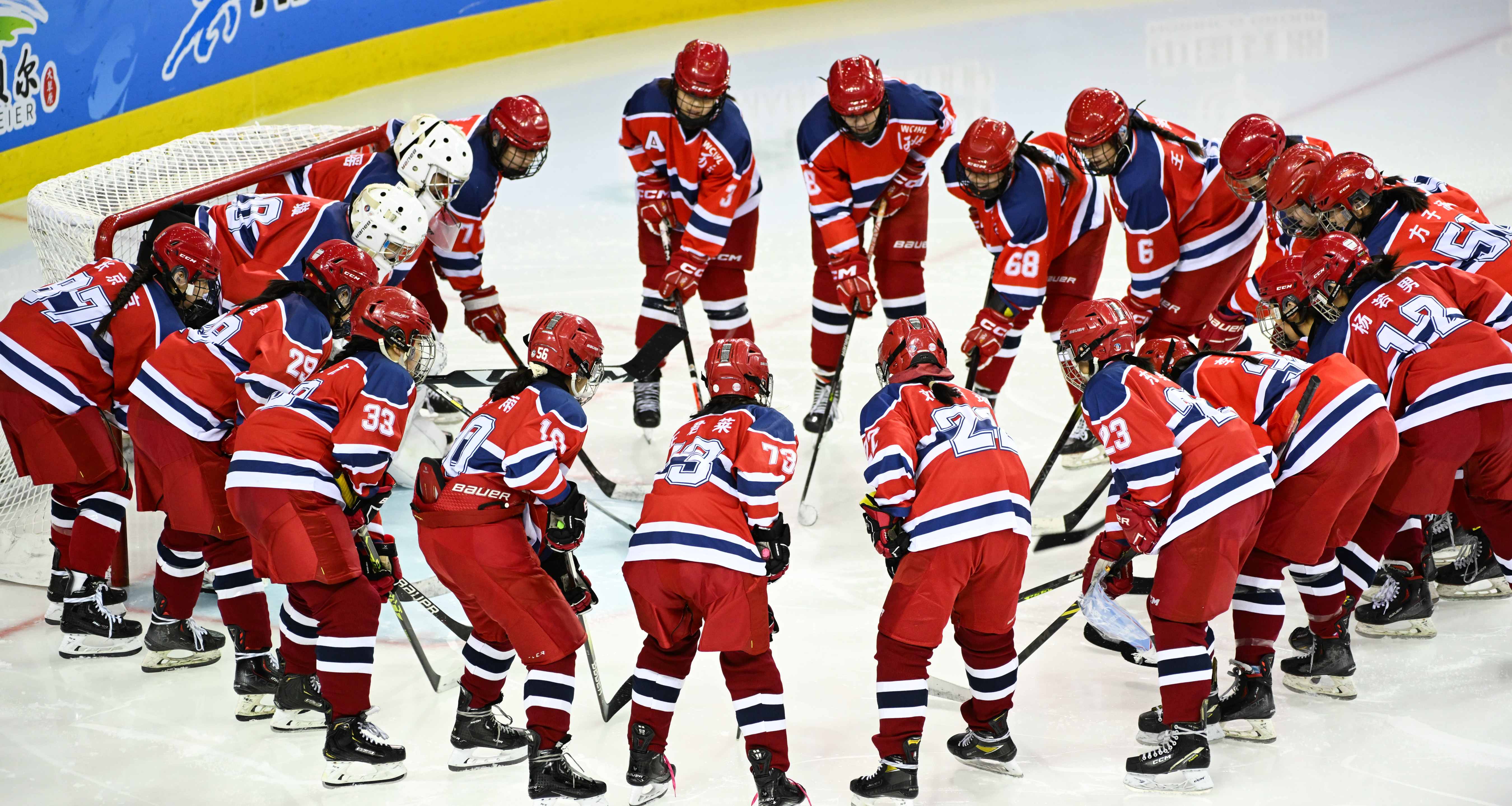 包含冰球热度飙升，网友热议不断的词条