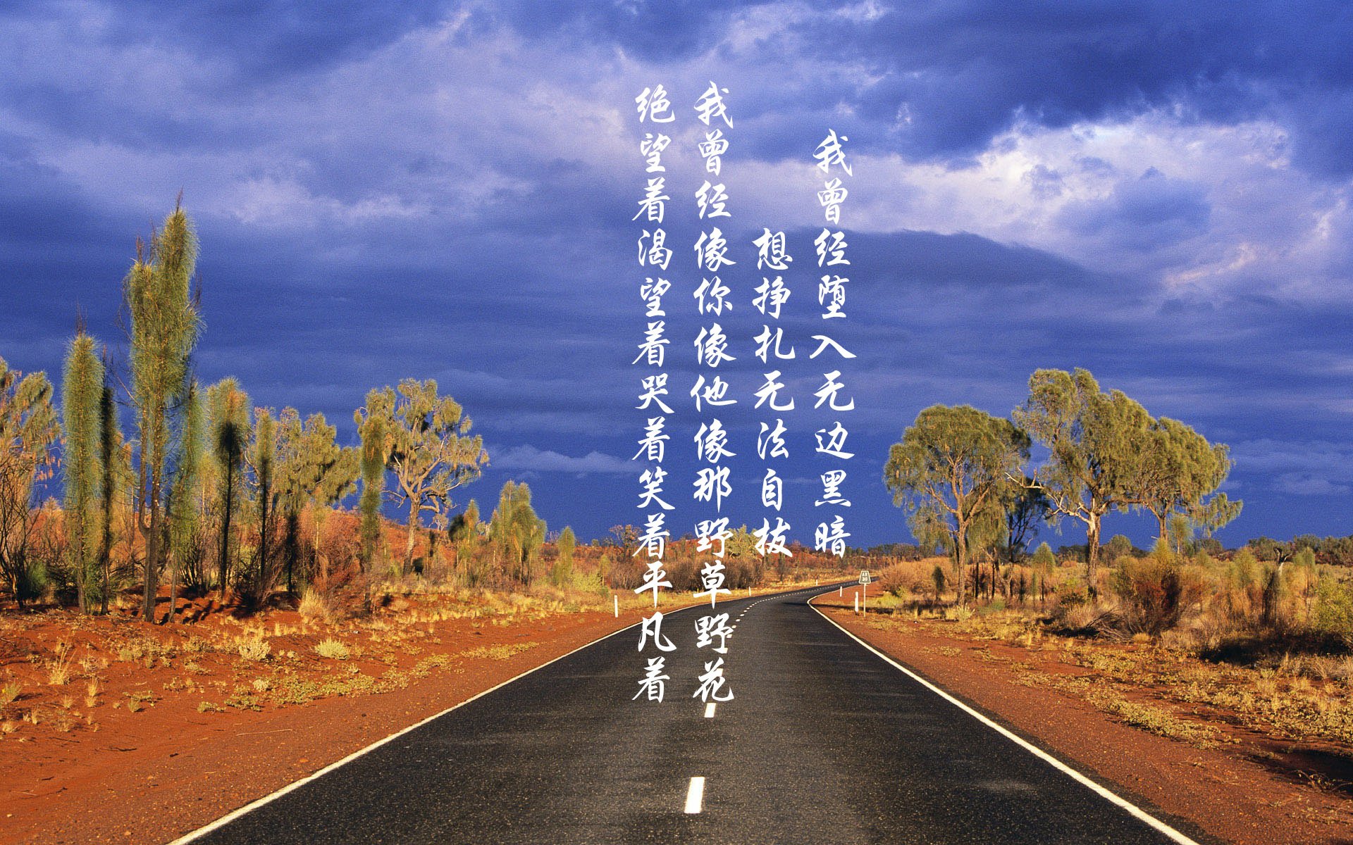 封印与重写,当班凯罗用防守封印文班亚马,他重写了这轮系列赛的剧本