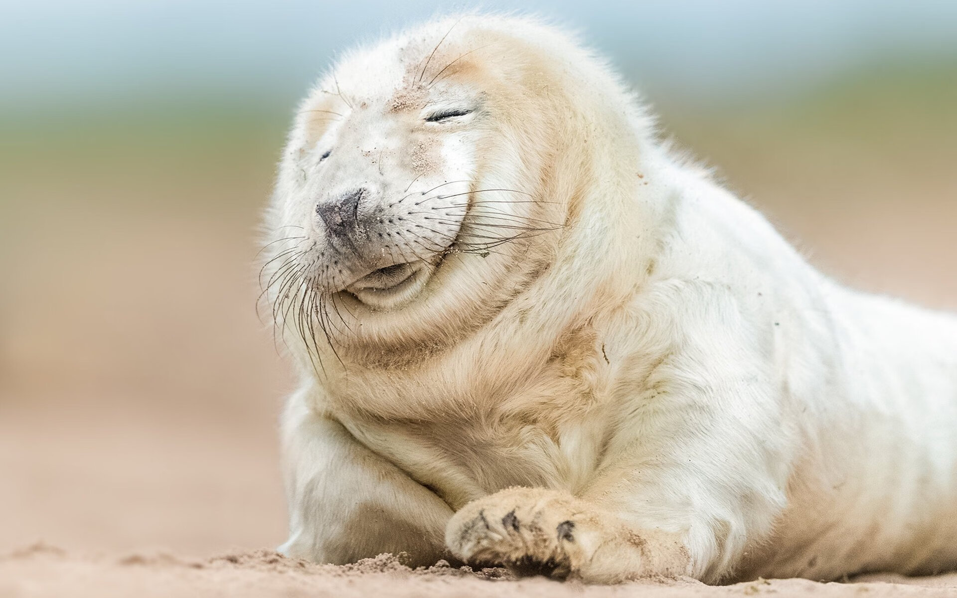 奥运周期关键战之夜,当世界喧嚣时,他是沉默的锁链