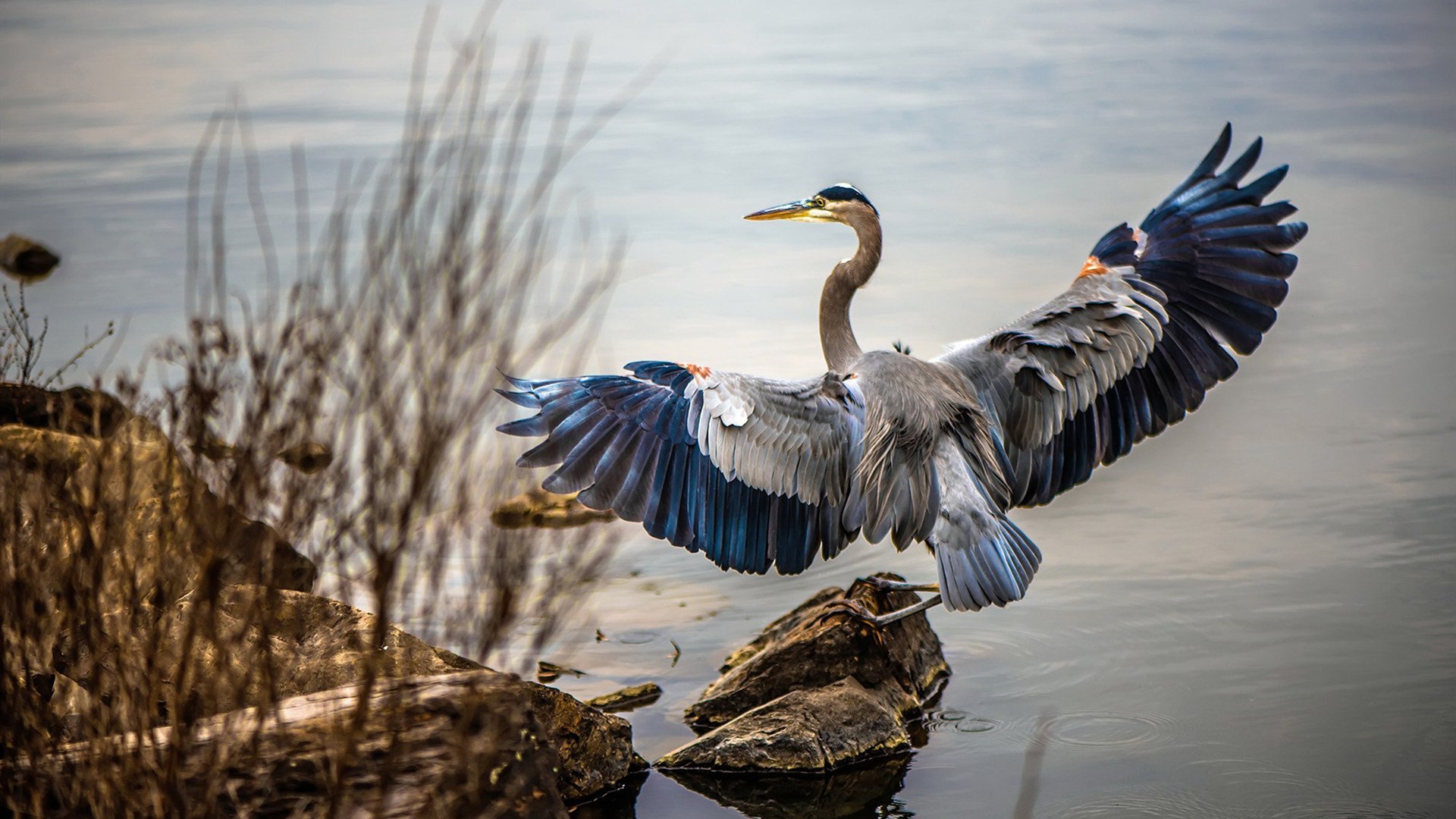 圣乔治日，当篮球骑士在绿茵场后仰跳投—论恩比德如何以NBA法则接管英超争冠战