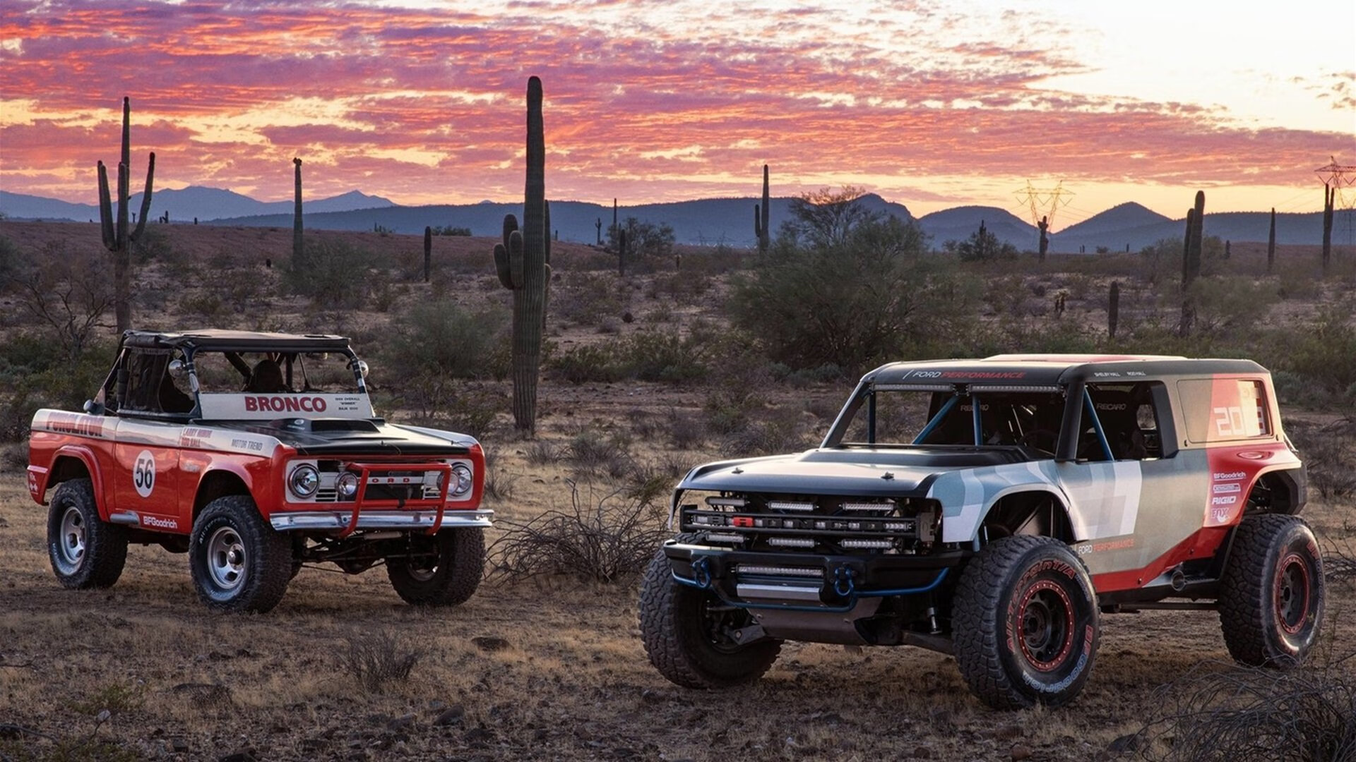 争冠终局，王不见王