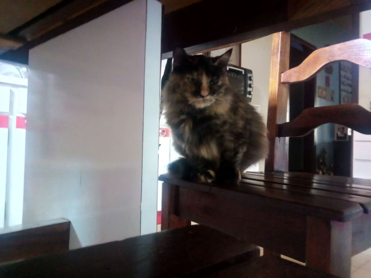 独行于死荫峡谷，莫兰特与他的重生之夜