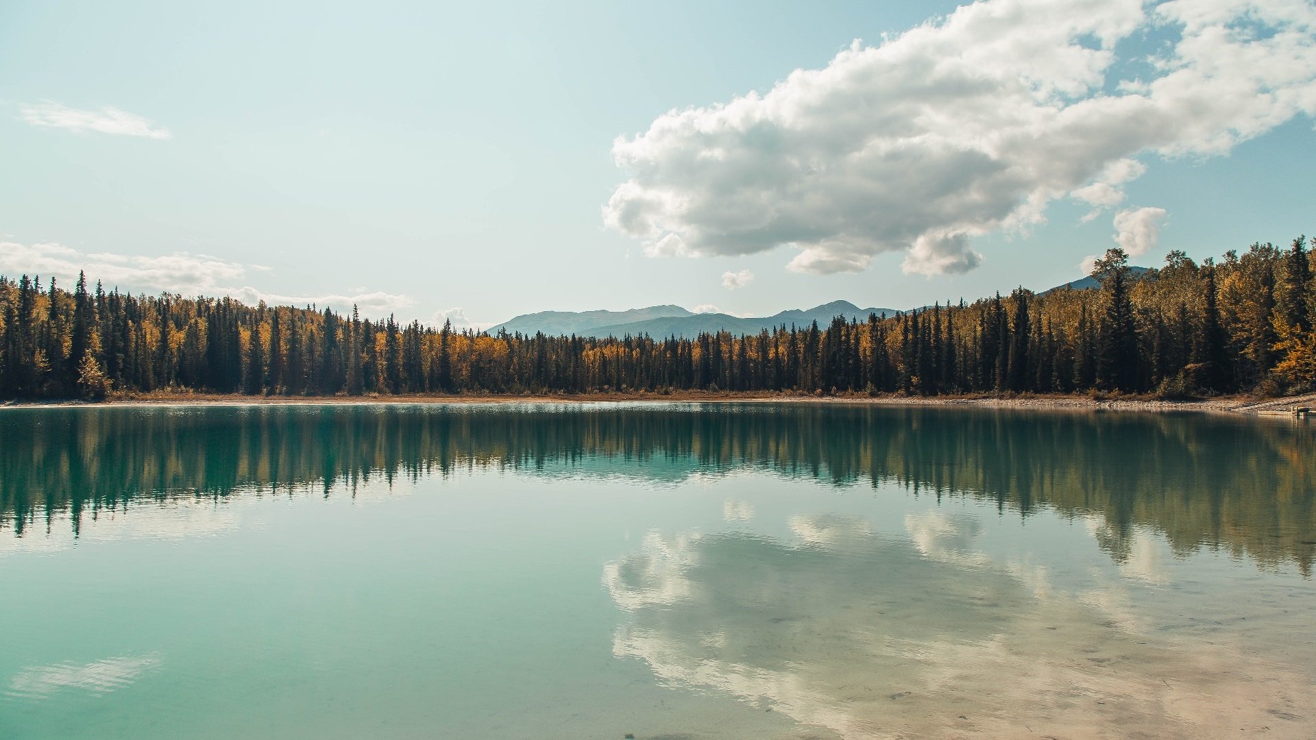硝烟之外，绿茵救赎，坎特在柏林之夜的灵魂一战
