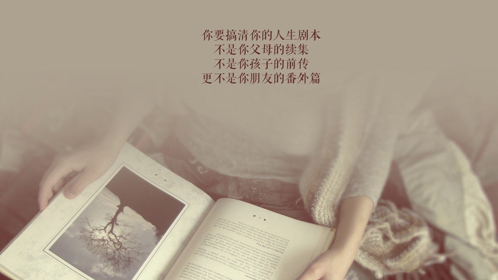 穿越时空的致命一击,当2026年的京多安,为2014年的自己赎罪