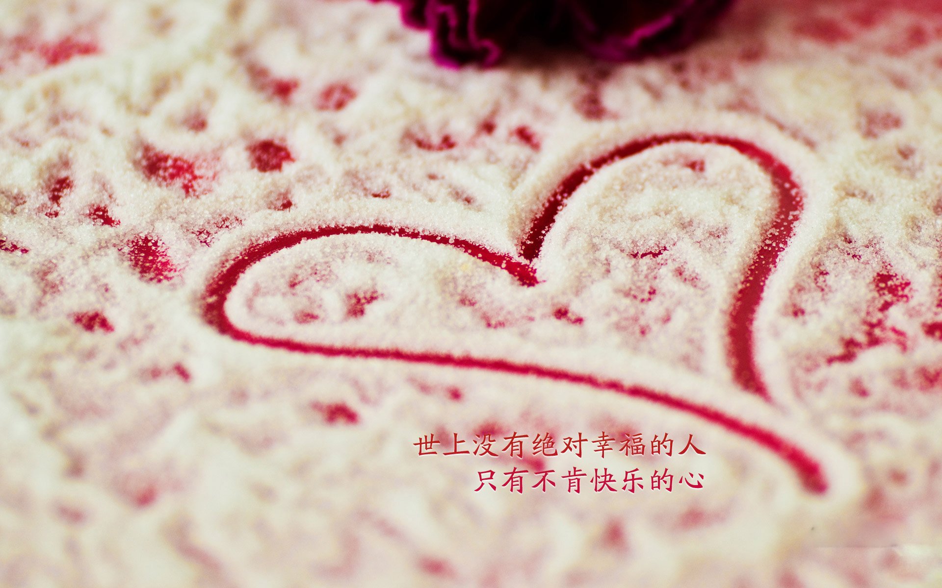 宿敌的雪耻,与猎豹的致命一击,2026世界杯D组,葡萄牙如何用一场快节奏风暴碾碎韩国