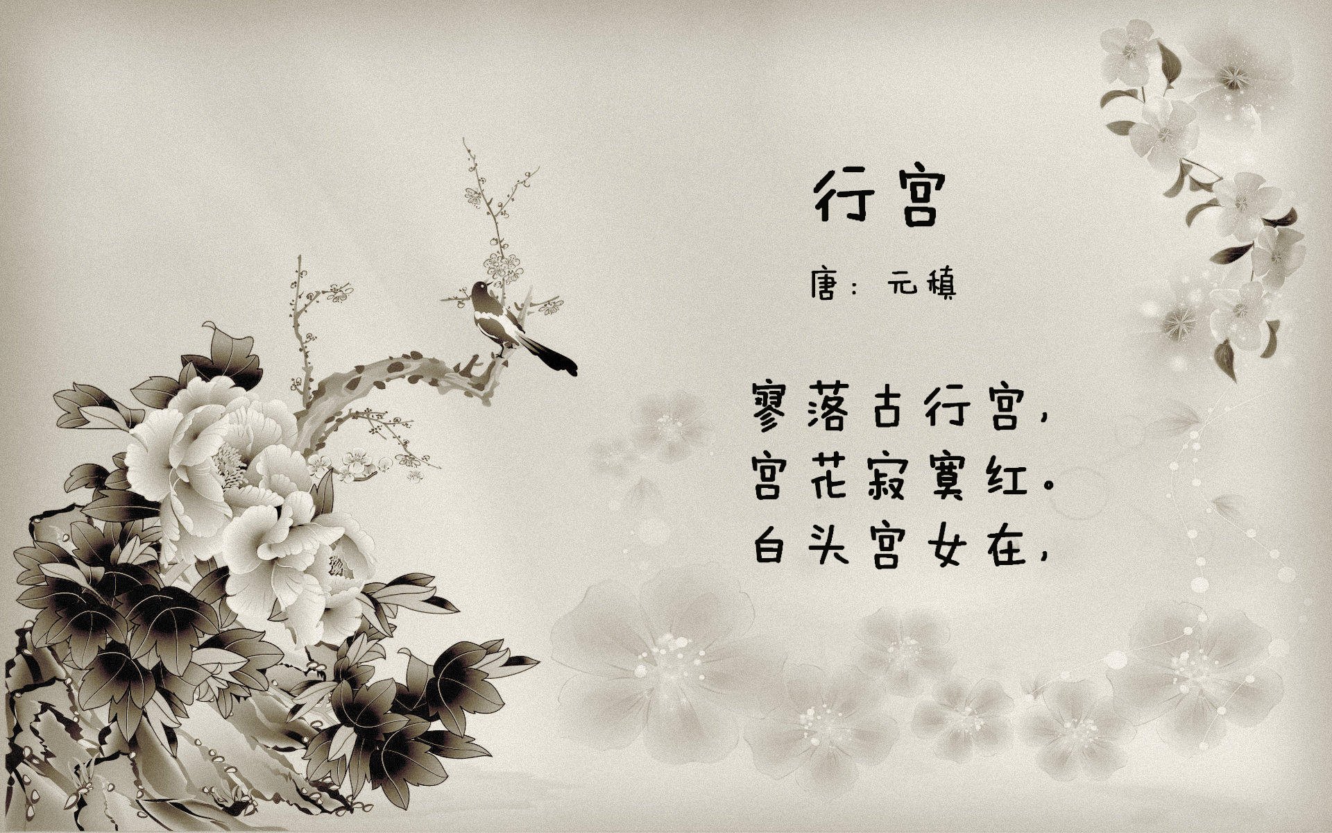 血色黄昏,哈基米的致命一击与智利足球的冰与火加冕礼